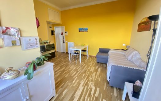 Monolocale via Lodovico il Moro 85, Milano